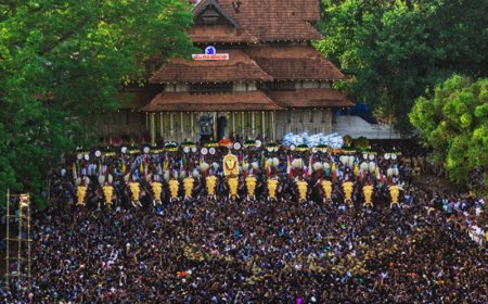 ക്ഷേത്രോത്സവങ്ങൾക്ക് ആനകളെ അണിനിരത്തുന്നത് സംബന്ധിച്ച കേരള ഹൈക്കോടതിയുടെ മാനദണ്ഡങ്ങൾ സുപ്രീം കോടതി സ്റ്റേ ചെയ്തു