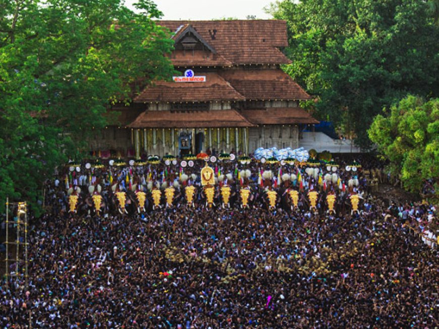 ക്ഷേത്രോത്സവങ്ങൾക്ക് ആനകളെ അണിനിരത്തുന്നത് സംബന്ധിച്ച കേരള ഹൈക്കോടതിയുടെ മാനദണ്ഡങ്ങൾ സുപ്രീം കോടതി സ്റ്റേ ചെയ്തു