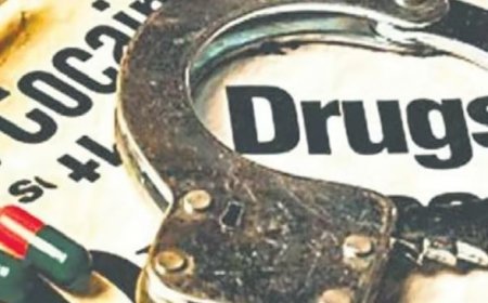 തിരുവനന്തപുരത്തെ ഗ്രാമപ്രദേശങ്ങളിൽ വ്യാവസായിക അളവിലുള്ള മയക്കുമരുന്ന് വേട്ടയ്‌ക്ക് ഗണ്യമായ വർദ്ധനവ്; 2024ൽ 12 കേസുകൾ