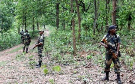 ഛത്തീസ്ഗഡിലെ ബിജാപൂർ ദേശിയ പാർക്കിൽ നടന്ന ഏറ്റുമുട്ടലിൽ മൂന്ന് മാവോയിസ്റ്റുകൾ കൊല്ലപ്പെട്ടു
