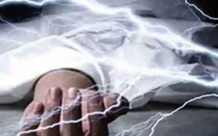 പത്തനംതിട്ടയില്‍ ഷോക്കേറ്റ് തമിഴ്‌നാട് സ്വദേശിയായ ശബരിമല തീര്‍ഥാടകന്‍ മരിച്ചു