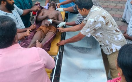 വിതുരയിൽ കാട്ടാനയുടെ ആക്രമണത്തിൽ ഒരാൾക്ക് ഗുരുതര പരിക്ക്