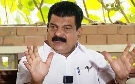 പി വി അൻവറിനെതിരെ വിജിലൻസ് അന്വേഷണത്തിനു ഉത്തരവിട്ട് സർക്കാർ