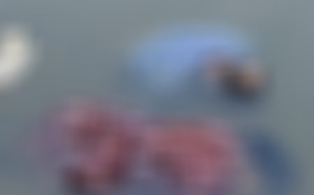 തിരുവനന്തപുരത്ത് ദമ്പതികളെ മരിച്ച നിലയിൽ കണ്ടെത്തിയതിൽ കൂടുതൽ വിവരങ്ങൾ പുറത്ത്