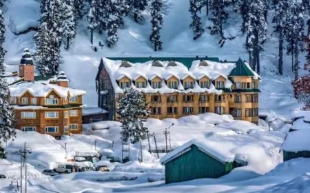 ശ്രീനഗറിൽ താപനില 1 ഡിഗ്രി സെൽഷ്യസായി കുറഞ്ഞു; മഞ്ഞുവീഴ്ച കശ്മീരിലെ കർഷകർക്ക് ആശ്വാസം പകരുന്നു