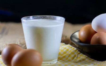 അംഗണവാടികളിൽ ദിവസവും മുട്ടയും പാലും പരിഗണനയിൽ; സ്കൂള്‍ ഉച്ചഭക്ഷണ പദ്ധതിക്ക് 401 കോടി രൂപ