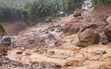 വയനാട് ഉരുള്‍പ്പൊട്ടല്‍ ദുരന്തബാധിതരുടെ വായ്പ എഴുതിതള്ളുന്നതില്‍ തീരുമാനം ഉടന്‍ വേണം: ഹൈക്കോടതി