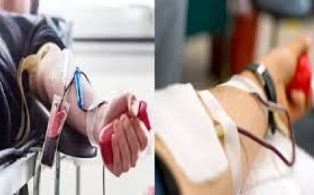 അപൂർവ രക്തത്തിനായി ഒരു കരുതൽ: കേരള റെയർ ബ്ലഡ് ഡോണർ രജിസ്ട്രി പുറത്തിറക്കി