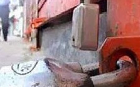 വന്യജീവി ആക്രമണത്തിൽ പ്രതിഷേധിച്ച് ഇന്ന് വയനാട്ടിൽ ഹ‌ർത്താൽ