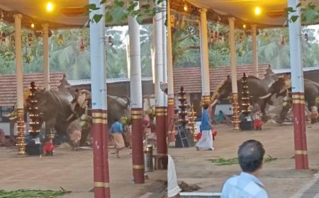 ഉത്സവത്തിനിടെ ആനയിടഞ്ഞു; തിക്കിലും തിരക്കിലും പെട്ട് 2 സ്ത്രീകൾ മരിച്ചു 2 മരണം