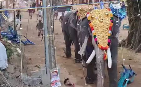 കൊയിലാണ്ടിയിൽ ക്ഷേത്ര ഉത്സവത്തിനിടെ ആനയിടഞ്ഞ് മരിച്ച ലീലയുടെ സ്വർണാഭരണങ്ങൾ കാണ്മാനില്ലെന്ന് കുടുംബം