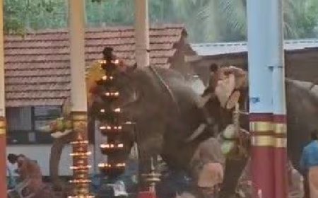 കൊയിലാണ്ടി ക്ഷേത്ര ഉത്സവത്തില്‍ ആന ഇടഞ്ഞത് പടക്കം പൊട്ടുന്ന ശബ്ദം കേട്ടെന്ന് പ്രാഥമിക നിഗമനം