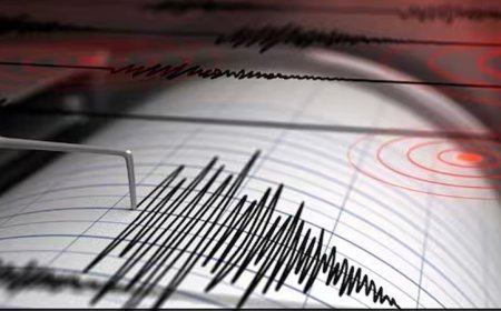 കോഴിക്കോട് മരുതോങ്കരയിലും ചക്കിട്ടപ്പാറയിലും ഭൂചലനം അനുഭവപ്പെട്ടതായി പ്രദേശവാസികള്‍