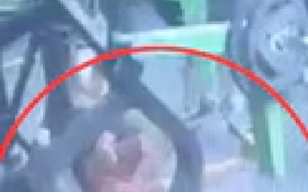 ജിമ്മില്‍ വ്യായാമം ചെയ്യുന്നതിനിടെ യുവാവ് കുഴഞ്ഞുവീണ് മരിച്ച സംഭവം; മരണകാരണം തലച്ചോറിലുണ്ടായ ആന്തരിക രക്തസ്രാവം