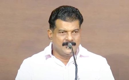 സിപിഐഎമ്മിന് നേരെ ഭീഷണി പ്രസംഗവുമായി പി വി അന്‍വര്‍