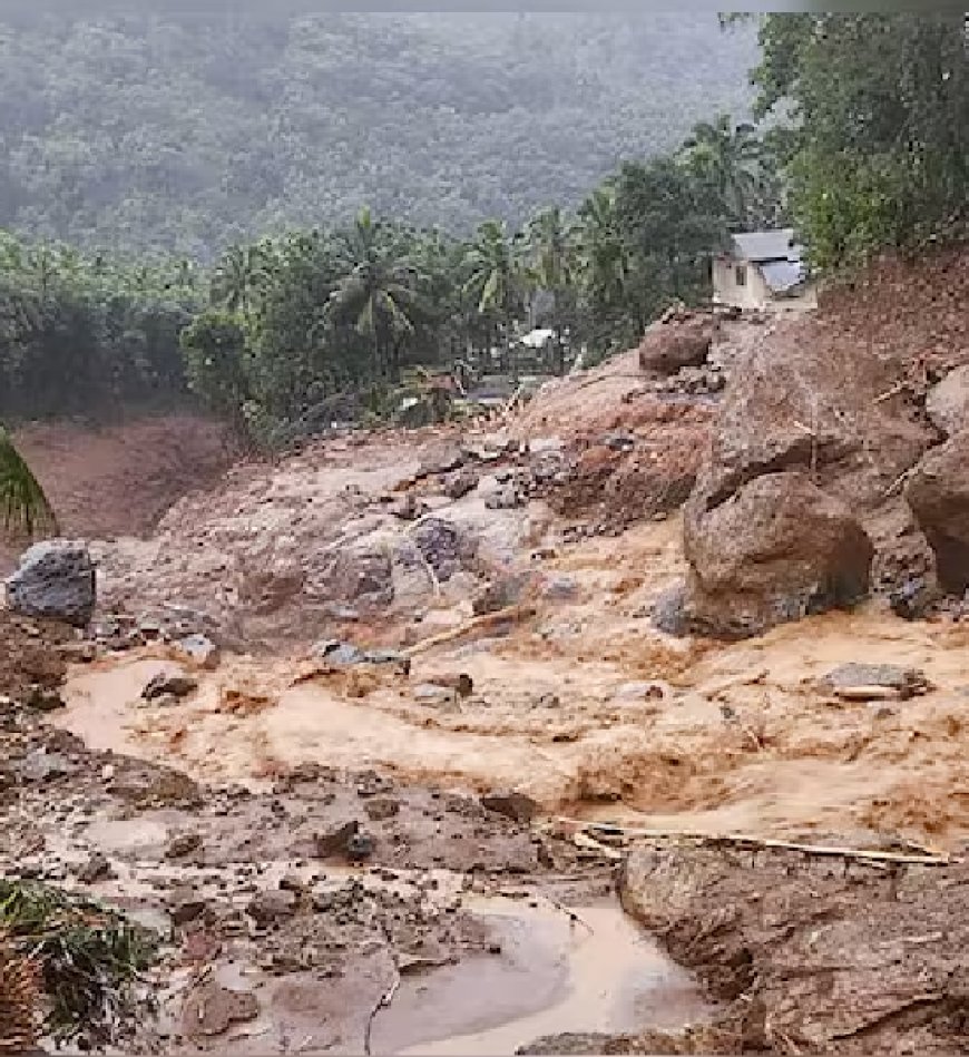 വയനാട് ഉരുള്‍പ്പൊട്ടല്‍ ദുരന്തബാധിതരുടെ വായ്പ എഴുതിതള്ളുന്നതില്‍ തീരുമാനം ഉടന്‍ വേണം: ഹൈക്കോടതി