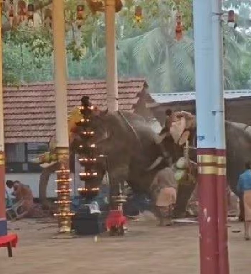കൊയിലാണ്ടി ക്ഷേത്ര ഉത്സവത്തില് ആന ഇടഞ്ഞത് പടക്കം പൊട്ടുന്ന ശബ്ദം കേട്ടെന്ന് പ്രാഥമിക നിഗമനം