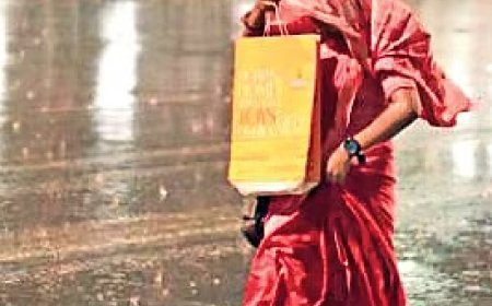 കയ്യില്‍ കുട കരുതിക്കോ ! സംസ്ഥാനത്ത് ഇന്ന് പരക്കെ മഴയ്ക്ക് സാധ്യത; ഈ ജില്ലകളില്‍ യെല്ലോ അലേര്‍ട്ട്