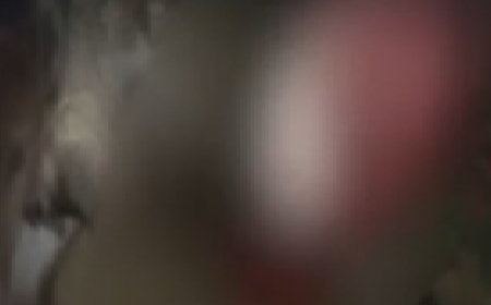 വയനാട് വെള്ളമുണ്ടയിൽ പശുക്കിടാവിനെ വന്യജീവി ആക്രമിച്ചുകൊന്നു