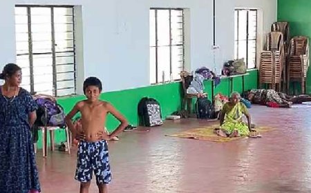 പെരുംതേനീച്ച ഭീതി; ഇടുക്കിയില്‍ 40 ഓളം കുടുംബങ്ങളെ മാറ്റിപ്പാര്‍പ്പിച്ചു