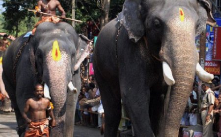 ഗുരുവായൂരില്‍ ഇന്ന് ആനയോട്ടവും കൊടിയേറ്റും; പത്താംനാള്‍ ക്ഷേത്രോത്സവം 