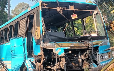 ഡ്രൈവർ കുഴഞ്ഞുവീണു; സ്വകാര്യ ബസ് അപകടകത്തിൽപ്പെട്ട് ഡ്രൈവർ മരിച്ചു