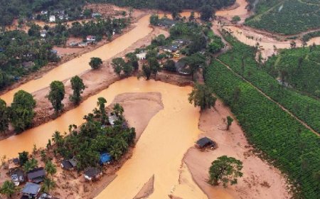 മുണ്ടക്കൈ - ചൂരൽമല ദുരന്തബാധിതരുടെ പുനരധിവാസം: നെടുമ്പാല എസ്റ്റേറ്റ് ഏറ്റെടുക്കില്ലെന്ന് സര്‍ക്കാര്‍; ഗുരുതരമായ ആശങ്കകൾ ഉയർത്തുന്നതായി റിപ്പോര്‍ട്ട്