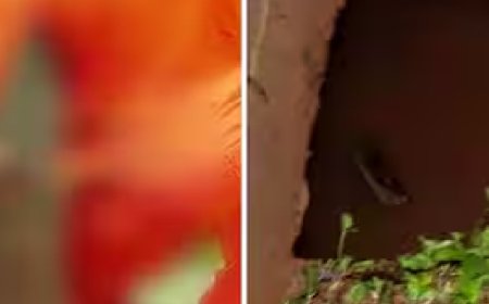 ശക്തമായ മഴ; ബസ് സ്റ്റോപ്പില്‍ ഇരിക്കുമ്പോള്‍ കാല്‍വഴുതി ഓടയില്‍ വീണു; 60കാരന് ദാരുണാന്ത്യം