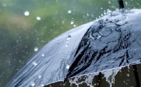 സംസ്ഥാനത്ത് ഇന്നും മഴയെത്തും; വിവിധ ജില്ലകളില്‍ യെല്ലോ അലേര്‍ട്ട്