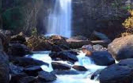 സൂചിപ്പാറ വെള്ളച്ചാട്ടം ഹരിത ടൂറിസം കേന്ദ്രമായി