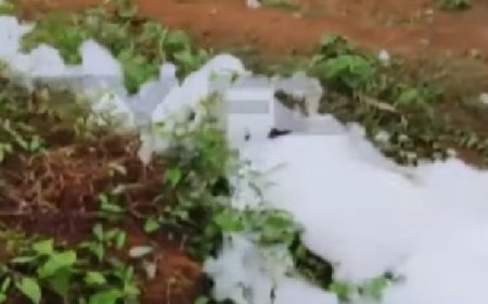 റോഡുകളിലും ഓടകളിലും സോപ്പ് പതപോലെ പ്രതിഭാസം; തൃശൂരില്‍ പെയ്തത് പതമഴ തന്നെ