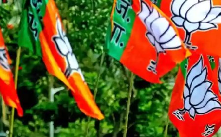 ബി.ജെ.പി. ദേശീയ കൗണ്‍സിലിലേക്ക് കേരളത്തില്‍നിന്ന് 30 അംഗങ്ങള്‍