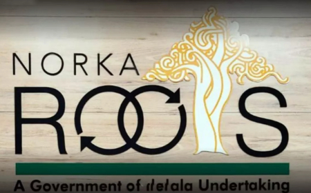 നോര്‍ക്ക ട്രിപ്പിള്‍ വിൻ: ജര്‍മ്മനിയിൽ 250 നഴ്സുമാർക്ക് അവസരം