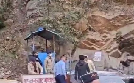 കുളുവിൽ മണ്ണിടിച്ചിൽ, വാഹനങ്ങളുടെ മുകളിലേക്ക് മരം വീണു: ആറ് മരണം