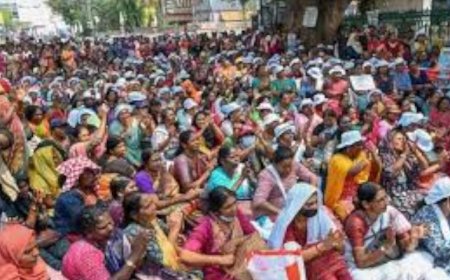 ആശമാരുടെ രാപ്പകൽ സമരം ഇന്ന് 50ാം ദിവസം; സെക്രട്ടേറിയറ്റ് പടിക്കൽ മുടി മുറിച്ച് പ്രതിഷേധിക്കും