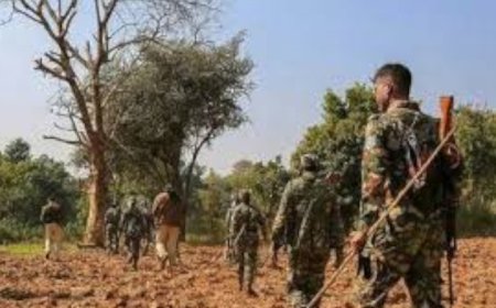 ഛത്തീസ്ഗഡിൽ സേനയുമായുള്ള ഏറ്റമുട്ടലിൽ വനിതാ മാവോയിസ്റ്റ് കൊല്ലപ്പെട്ടു