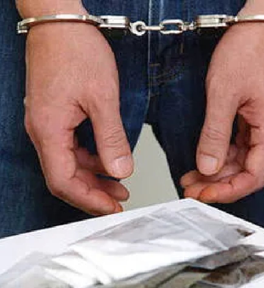 ഓപ്പറേഷന് ഡി - ഹണ്ട്: സംസ്ഥാനത്ത് അറസ്റ്റിലായത് 254 പേര്; പിടിച്ചെടുത്തവയില് എം.ഡി.എം.എയും മറ്റു മയക്കുമരുന്നുകളും