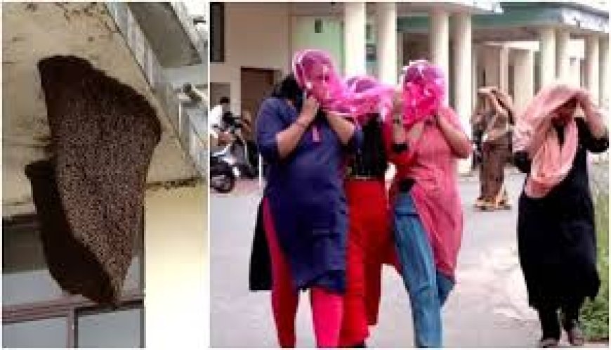 തിരുവനന്തപുരം കളക്ടറേറ്റിൽ ഇന്നും തേനീച്ച ആക്രമണം; 79 പേർ ആശുപത്രിയിൽ