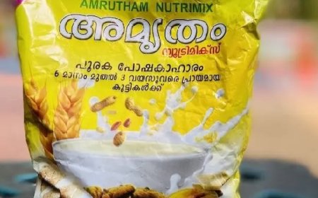 കൊല്ലത്തെ അമൃതം ന്യൂട്രിമിക്സ് യൂണിറ്റ് വൃത്തിഹീനമല്ലെന്ന് കണ്ടെത്തല്‍; സ്ഥാപനം മാറാല പിടിച്ച നിലയില്‍