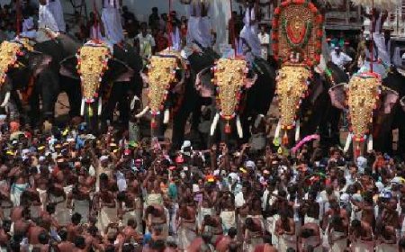 തൃശൂര്‍ പൂരം വെടിക്കെട്ട്; പ്രതിസന്ധി ദേവസ്വം ഭാരവാഹികളുമായി സുരേഷ് ഗോപി വീണ്ടും ഡല്‍ഹിയിലേക്ക്