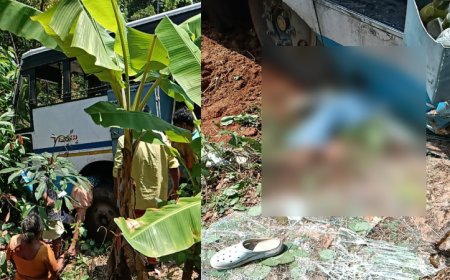 കെ എസ് ആർ ടി സി ബസ് താഴ്ചയിലേക്ക് മറിഞ്ഞ് ഒരു മരണം