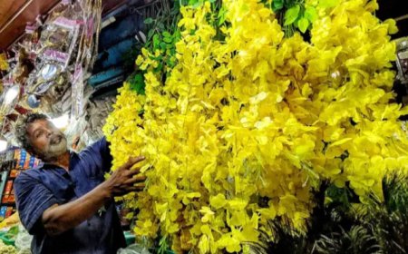 പ്ലാസ്റ്റിക് കണിക്കൊന്നയുടെ ഉപയോഗം:  മനുഷ്യാവകാശ കമ്മിഷൻ കേസെടുത്തു 