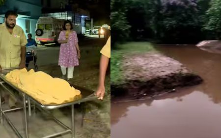 പാലക്കാട് സഹോദരങ്ങളായ മൂന്ന് കുട്ടികള്‍ മുങ്ങിമരിച്ചു