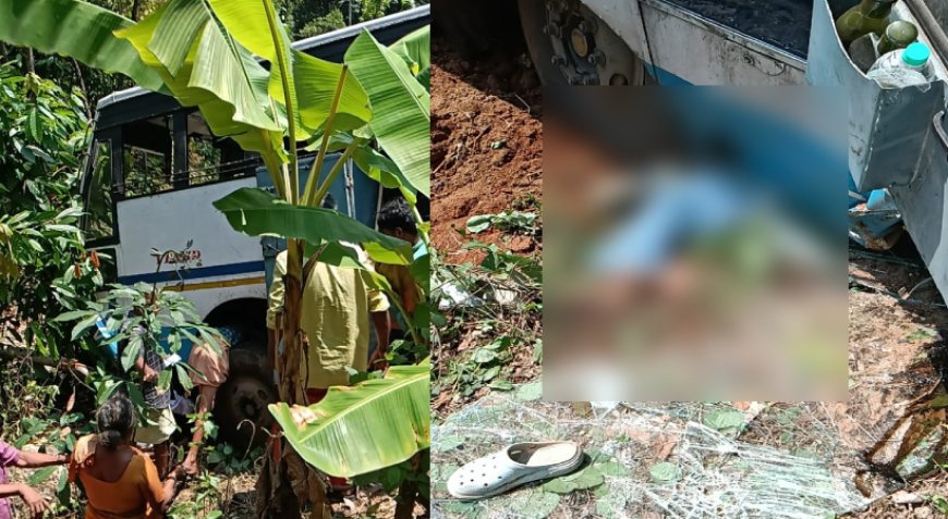 കെ എസ് ആർ ടി സി ബസ് താഴ്ചയിലേക്ക് മറിഞ്ഞ് ഒരു മരണം