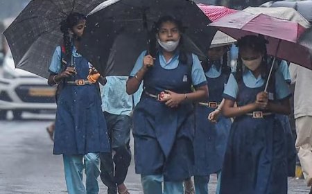 കനത്ത മഴ; രണ്ട് ജില്ലകളിലെ വിദ്യാഭ്യാസ സ്ഥാപനങ്ങൾക്ക് അവധി പ്രഖ്യാപിച്ചു