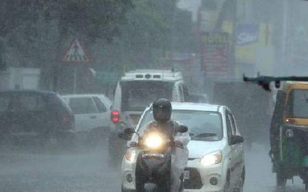 സംസ്ഥാനത്ത് കാലവര്‍ഷം വീണ്ടും സജീവമാകുന്നു; ഒറ്റപ്പെട്ട ശക്തമായ മഴയ്ക്ക് സാധ്യത