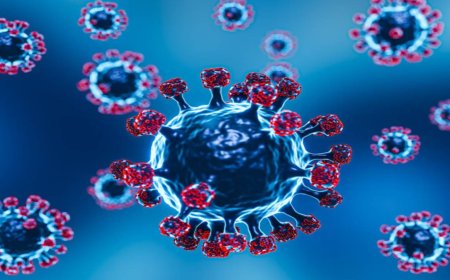 ഇന്ത്യയിൽ 1000-ത്തിലധികം സജീവ കോവിഡ്-19 കേസുകൾ; കേരളം, മഹാരാഷ്ട്ര, ഡൽഹി എന്നീ സംസ്ഥാനങ്ങളിലാണ് ഏറ്റവും കൂടുതൽ കേസുകൾ