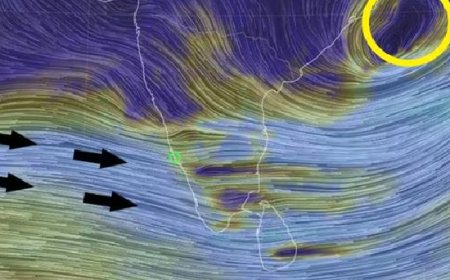 അതിതീവ്രമഴ: കണ്ണൂര്‍, കാസര്‍കോട് ജില്ലകളിലെ വിദ്യാഭ്യാസ സ്ഥാപനങ്ങള്‍ക്ക് അവധി