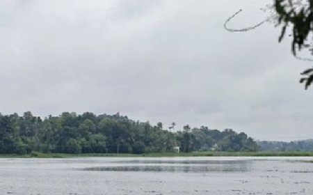 കോട്ടയത്ത് മീന്‍ പിടിക്കുന്നതിനിടെ വള്ളം മുങ്ങി രണ്ടുപേര്‍ക്ക് ദാരുണാന്ത്യം