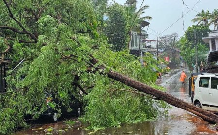 മഴക്കെടുതി: തിരുവനന്തപുരം ജില്ലയിൽ മരം വീണ് നിരവധി വീടുകള്‍ തകര്‍ന്നു